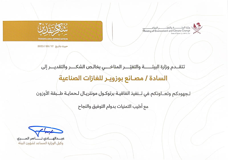 Buzwair Helium Container Cover